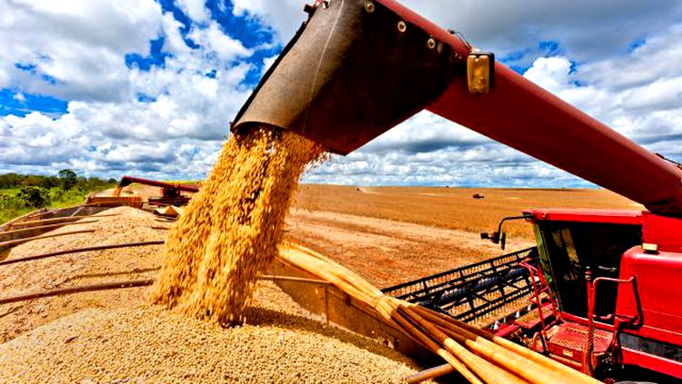 Safra 2018/2019 deve ser de 234 milhões de toneladas de grãos