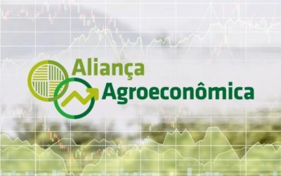 Confira relatório agroeconômico do Centro-Oeste – 1º trimestre de 2021