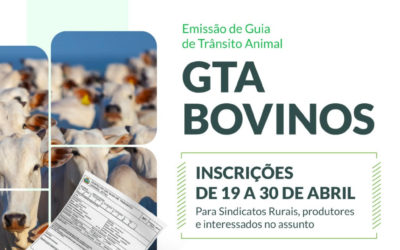 Curso GTA Bovinos – inscrições abertas