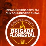 Formação de brigadas florestais será realizada em diversas regiões de Campo Verde