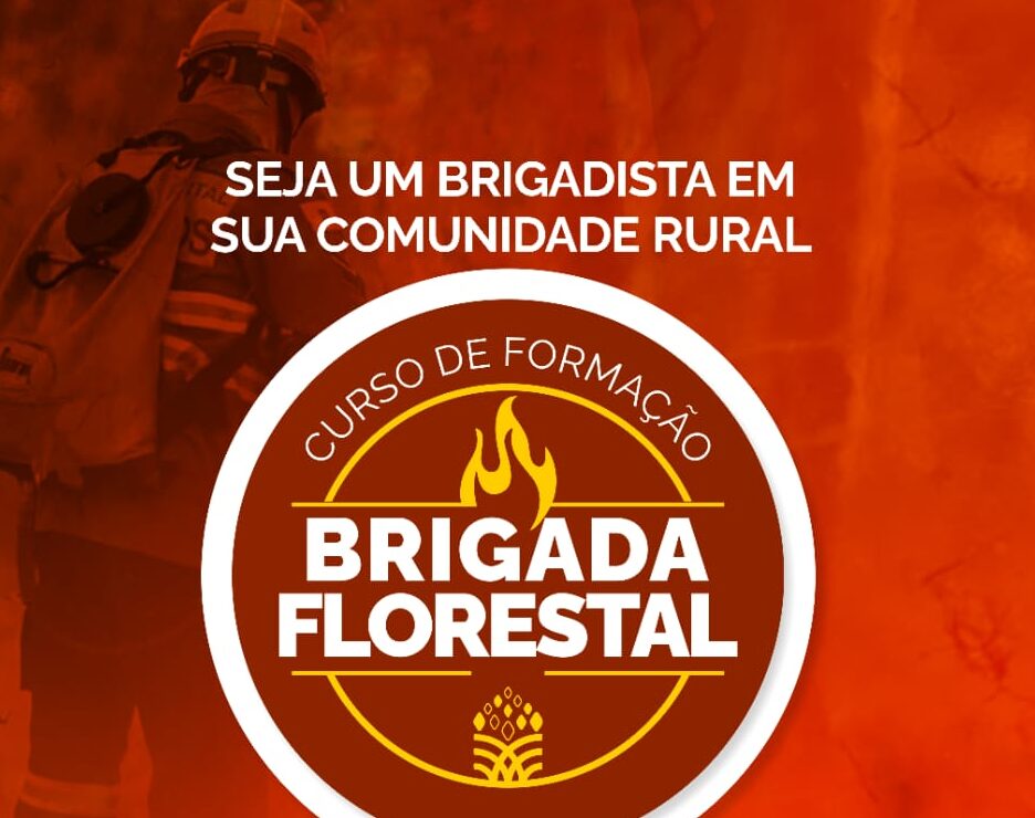 Formação de brigadas florestais será realizada em diversas regiões de Campo Verde