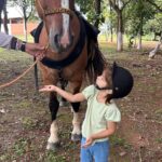 Equoterapia amplia autonomia, equilíbrio e comunicação de criança atendida em Campo Verde