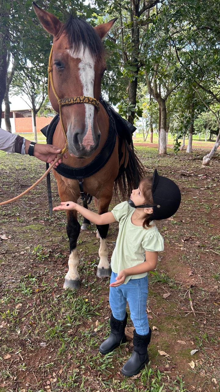Equoterapia amplia autonomia, equilíbrio e comunicação de criança atendida em Campo Verde